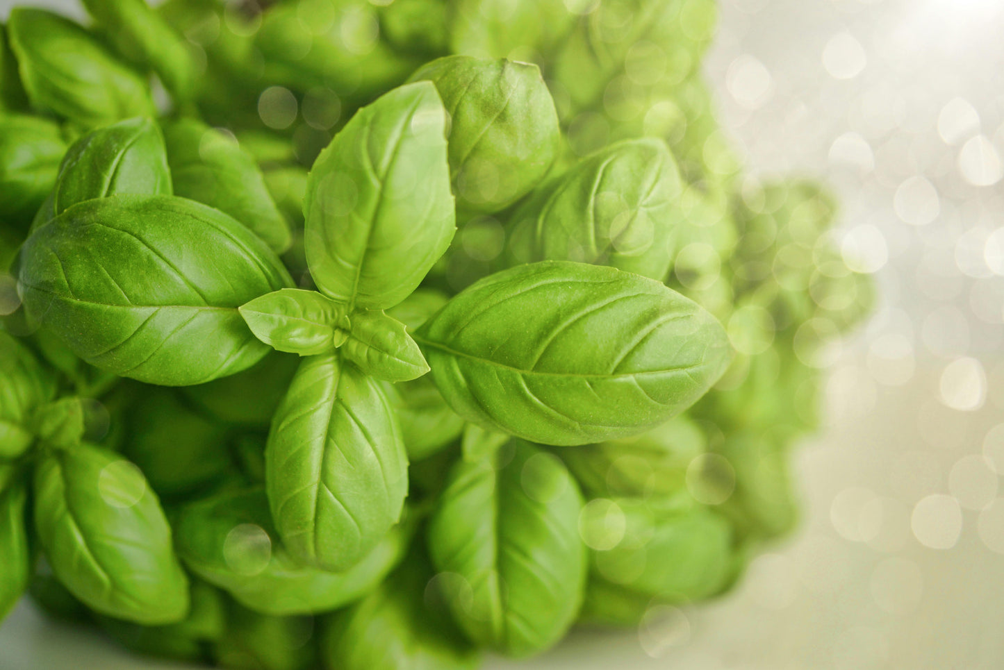 Pesto Butter