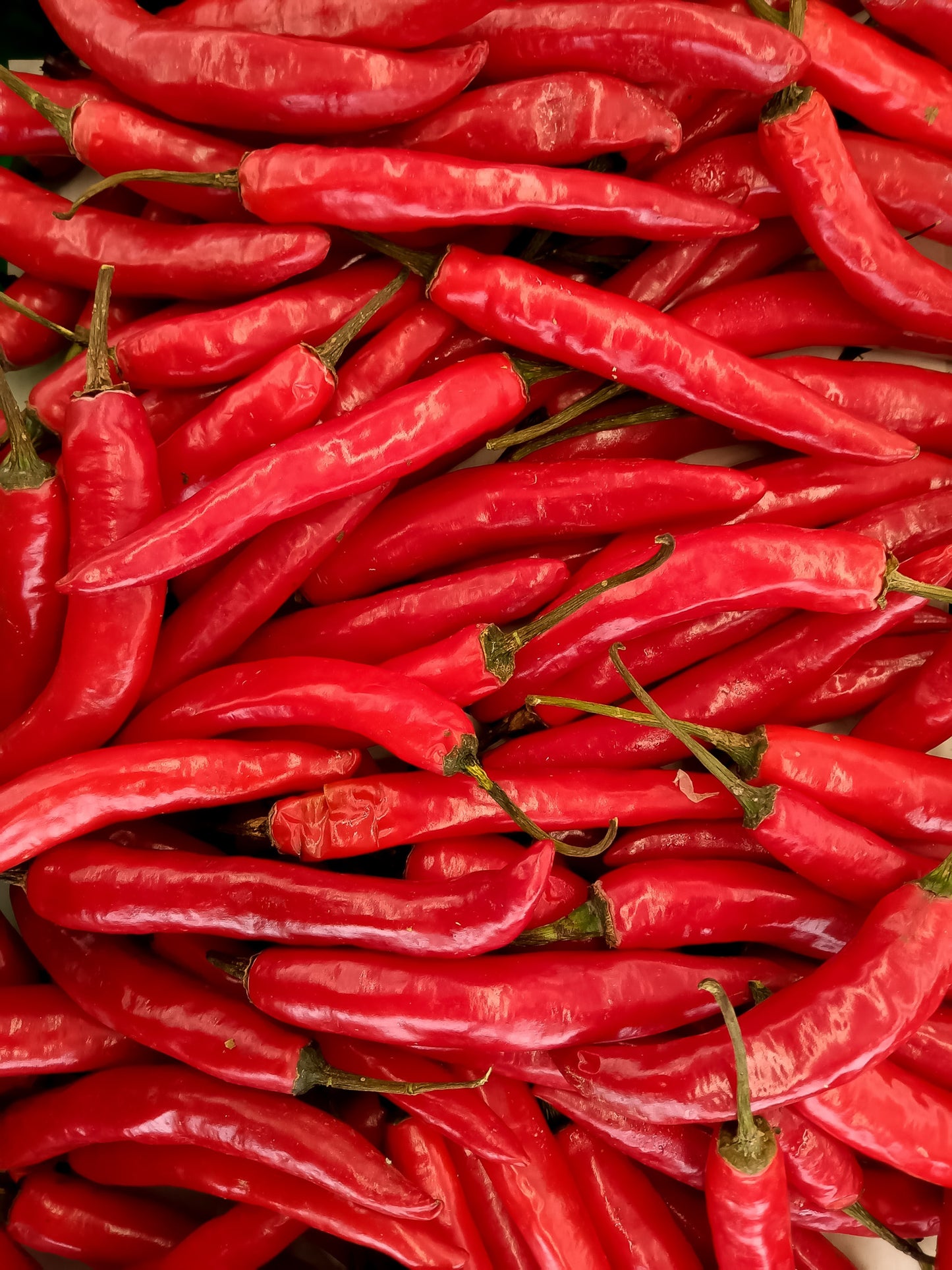 Hot thai chili peppers.
